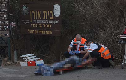 Photo incendie Carmel - décembre 2010