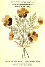 Cartes de vœux pour Rosh Hashana Cartes de vœux pour Rosh Hashana